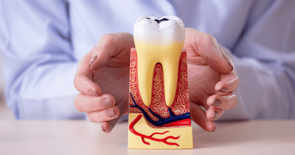 best dentist in Mississauga